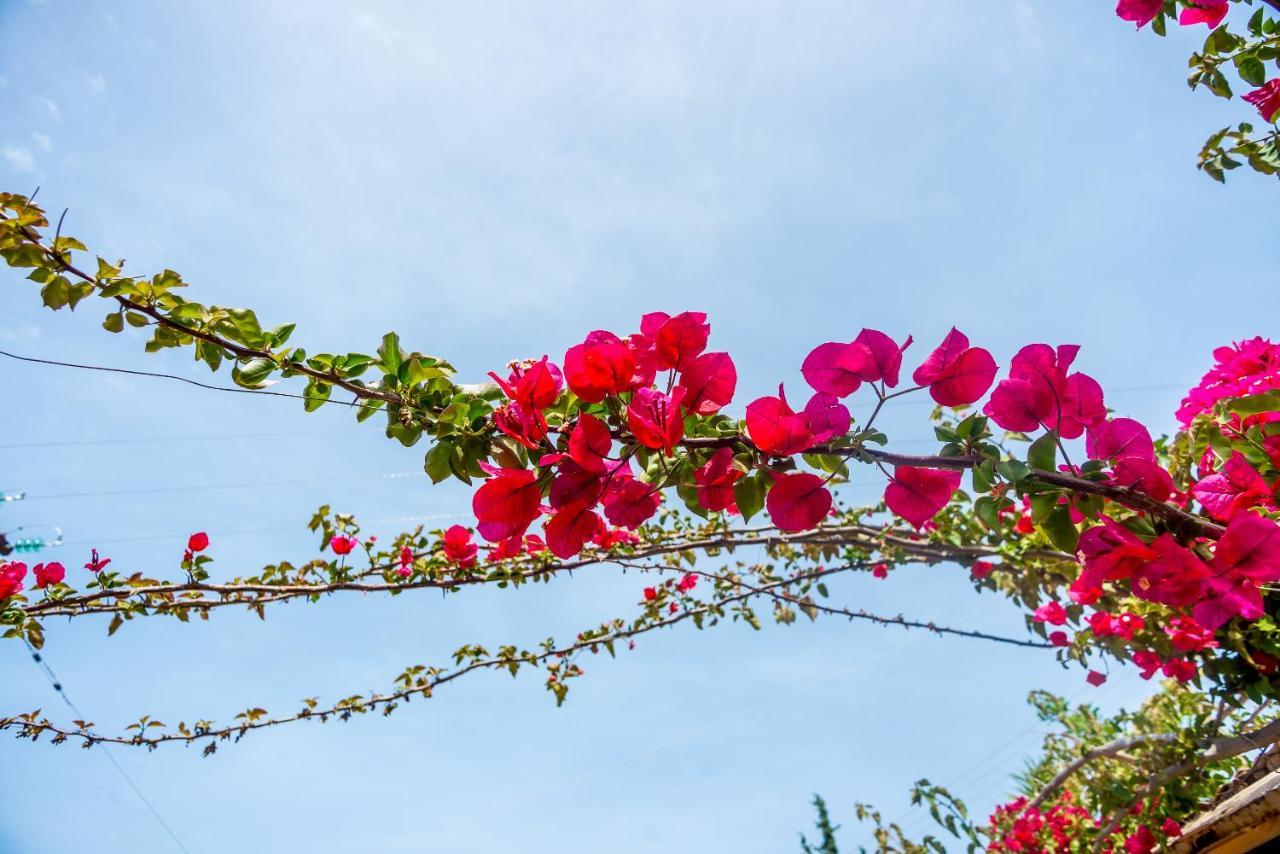 My Serenity Vlachata Ngoại thất bức ảnh